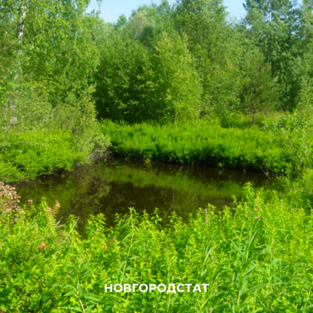  Поместье Зуровых.